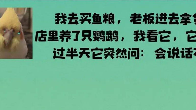 火锅底料价格之谜：揭秘影响价格的关键因素